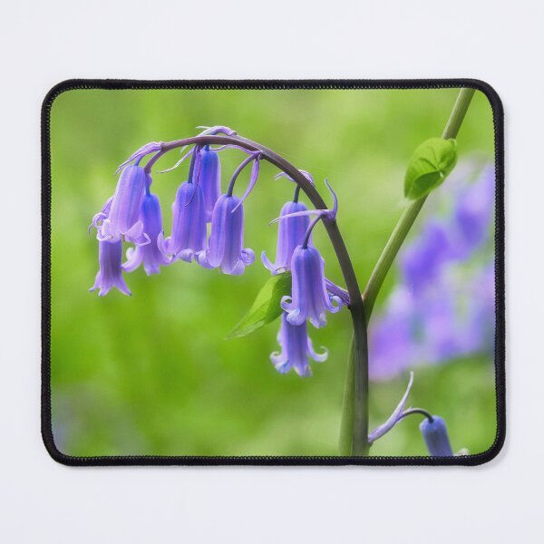 Item preview, English Bluebells designed and sold by Dorset Girl.