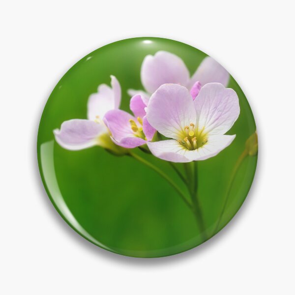 Item preview, Cuckoo Flowers - Cardamine pratensis designed and sold by Dorset Girl.