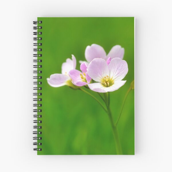 Item preview, Cuckoo Flowers - Cardamine pratensis designed and sold by Dorset Girl.