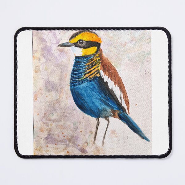 Item preview, Banded Pitta designed and sold by anwar-art.