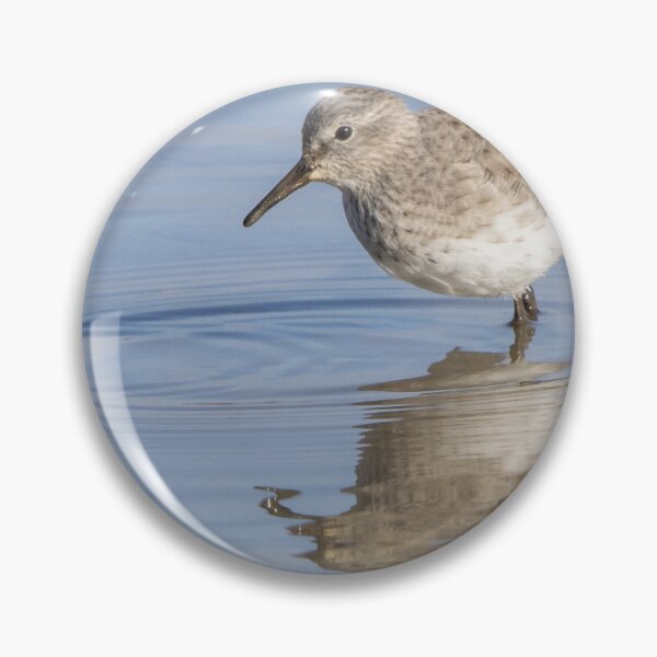 Item preview, White Rumped Sandpiper designed and sold by LaurenTucker.