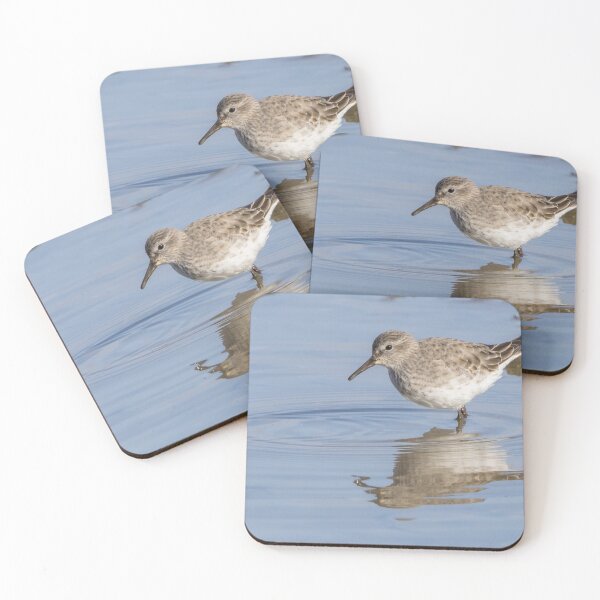 Item preview, White Rumped Sandpiper designed and sold by LaurenTucker.