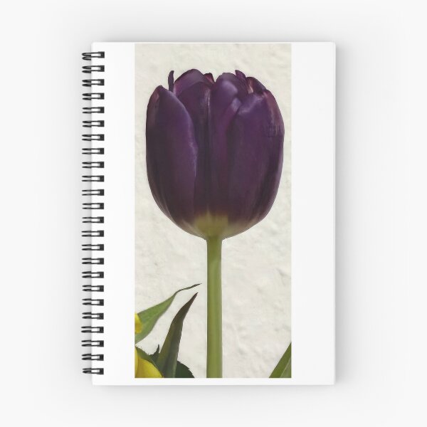 Item preview, Tulipán designed and sold by ze f.