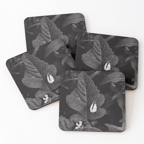 Item preview, Insect in Black and White designed and sold by Where the pigeons sleep.