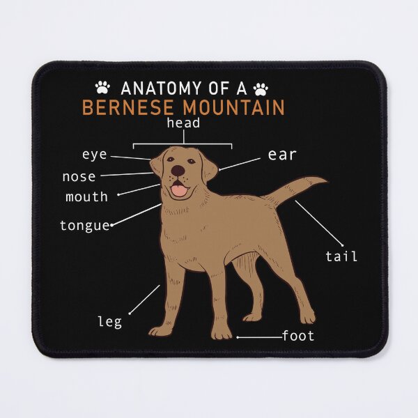 Item preview, Dog anatomy dark design cartoon sketch designed and sold by snowgirlshop.