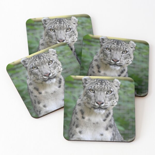 Item preview, Snow Leopard designed and sold by haylsjackson.
