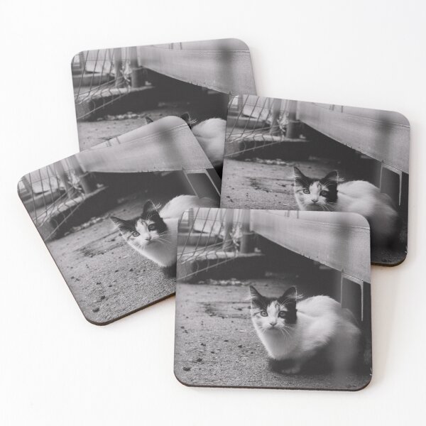 Item preview, Little Street Kitty Cat designed and sold by Where the pigeons sleep.