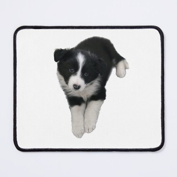 Item preview, Border collie puppy sticker baby border collie  designed and sold by Tropical Blood.