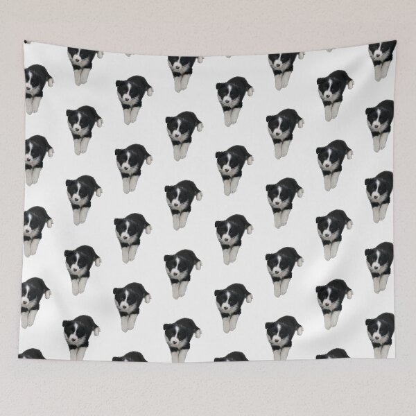 Item preview, Border collie puppy sticker baby border collie  designed and sold by Tropical Blood.