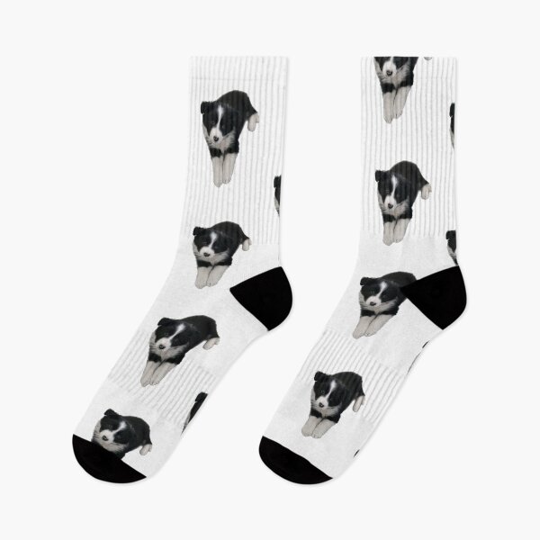 Item preview, Border collie puppy sticker baby border collie  designed and sold by Tropical Blood.