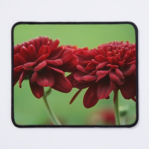 Item preview, close freinds designed and sold by Linda Sannuti.