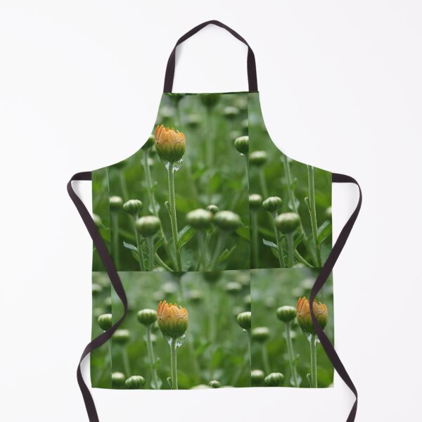 Item preview, the begining designed and sold by Linda Sannuti.