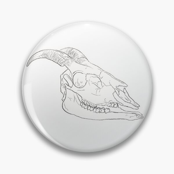 Item preview, Goat skull designed and sold by SumthinCoool.