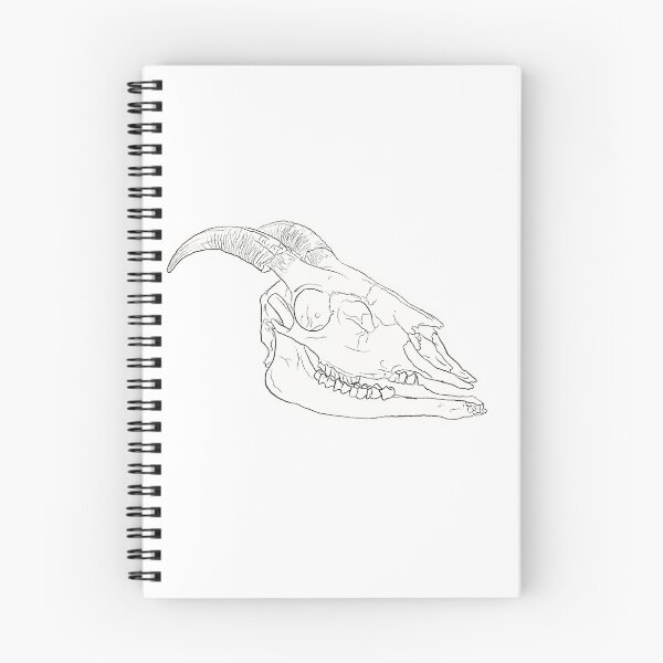 Item preview, Goat skull designed and sold by SumthinCoool.
