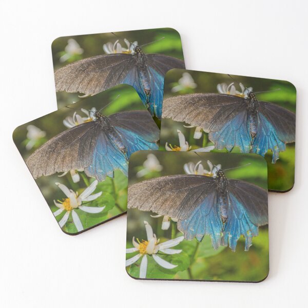 Item preview, Pipevine Swallowtail designed and sold by Courtney Matulewicz.