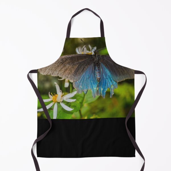 Item preview, Pipevine Swallowtail designed and sold by Courtney Matulewicz.