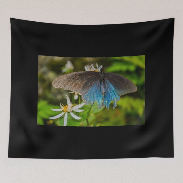 Item preview, Pipevine Swallowtail designed and sold by Courtney Matulewicz.