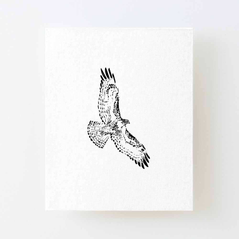 Hawk Tattoo Metal Prints for Sale | Redbubble