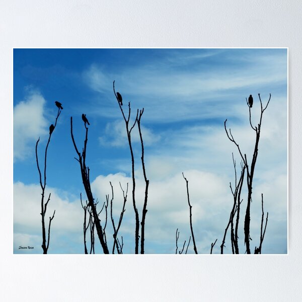 Item preview, Songbird Silhouette designed and sold by dahlymama.