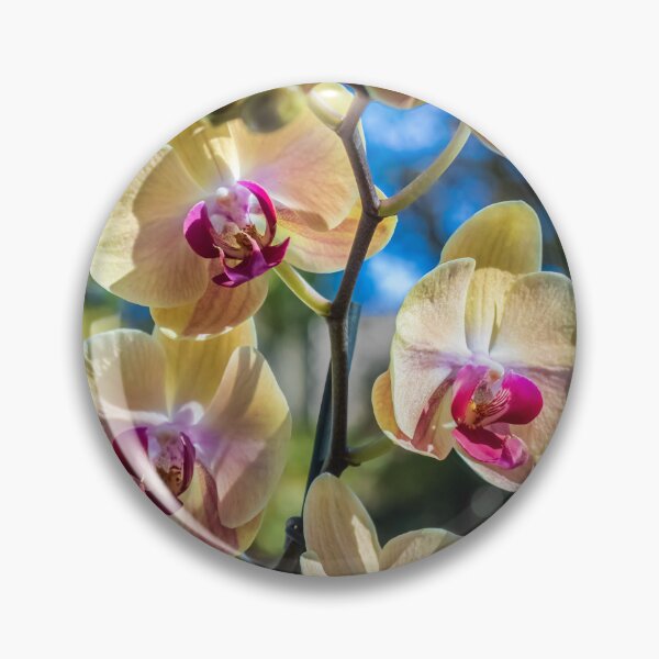 Item preview, Orchid Flower Photography. Flower Artwork, flower graphic designs designed and sold by PhotoCreationXP.