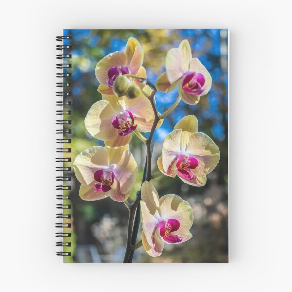 Item preview, Orchid Flower Photography. Flower Artwork, flower graphic designs designed and sold by PhotoCreationXP.