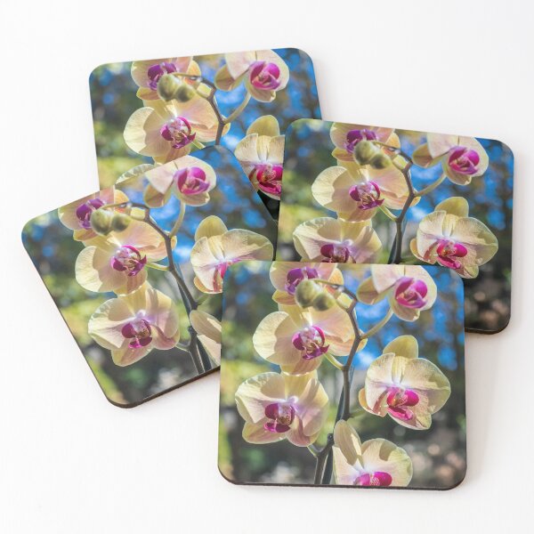 Item preview, Orchid Flower Photography. Flower Artwork, flower graphic designs designed and sold by PhotoCreationXP.