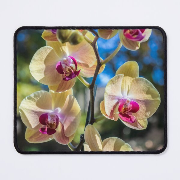 Item preview, Orchid Flower Photography. Flower Artwork, flower graphic designs designed and sold by PhotoCreationXP.