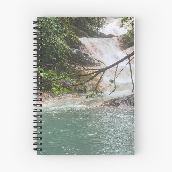 Item preview, Colibrí de las Cataratas Azules, Costa Rica designed and sold by Lilith Owyoung.