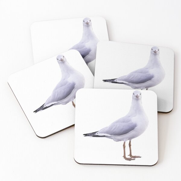 Item preview, Pier Gaze: Seagull Looking Straight at You designed and sold by Warren Morgan.
