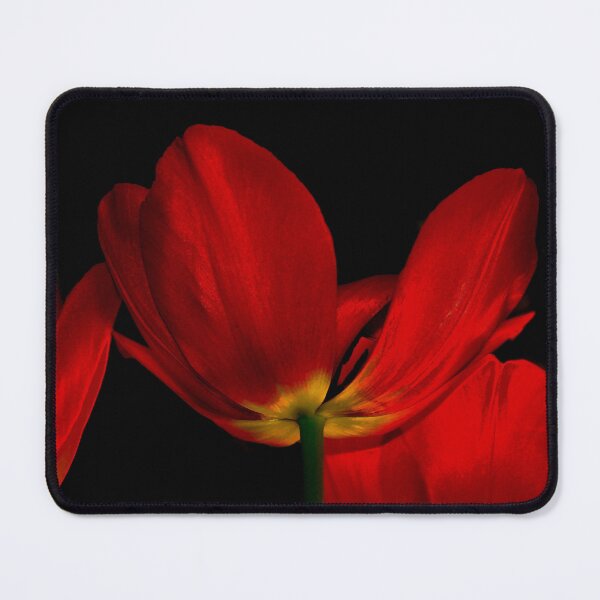 Item preview, Red satin designed and sold by Linda Sannuti.