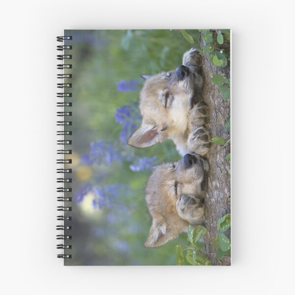 Item preview, Wolf Cubs asleep on a Tree Stump in the Forest designed and sold by ScienceSource.