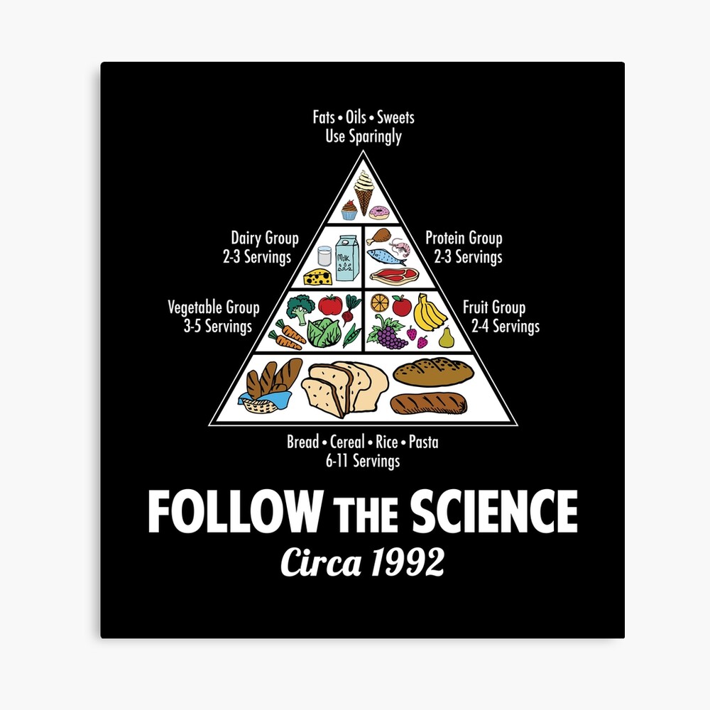 Follow Science Food Pyramid 1992 Poster
