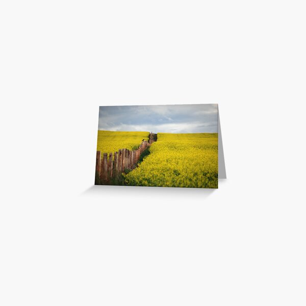 Item preview, Crow watches over canola  designed and sold by Judy Ann  Grant.