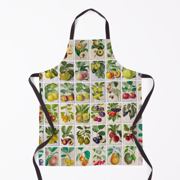 Item preview, Vintage Fruit Drawings and illustrations, Landscape, poster  designed and sold by Michael Dietrich.