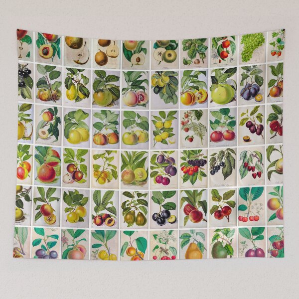 Item preview, Vintage Fruit Drawings and illustrations, Landscape, poster  designed and sold by Michael Dietrich.