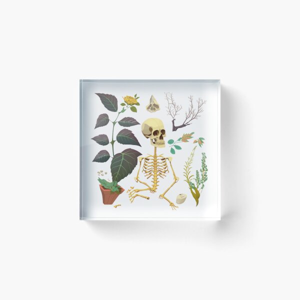 Item preview, Bones and Botany designed and sold by hssm-if.