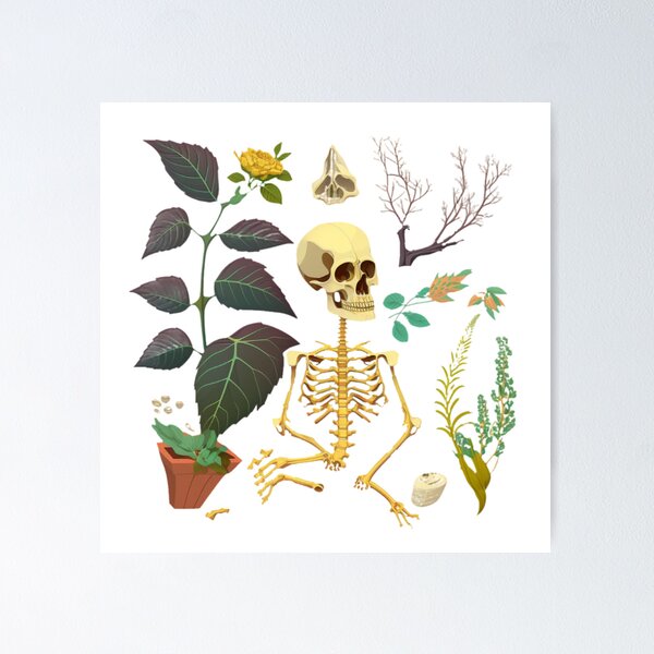 Item preview, Bones and Botany designed and sold by hssm-if.