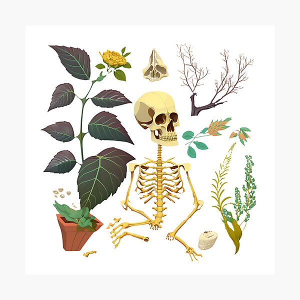 Item preview, Bones and Botany designed and sold by hssm-if.
