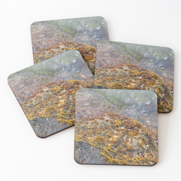 Item preview, Colorful Waikiki Beachwall Coral designed and sold by Bill Spengler's Photographic Thoughts.