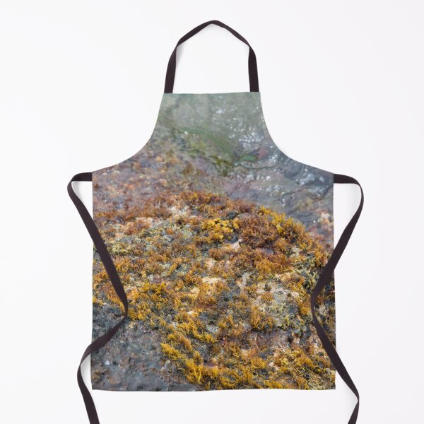 Item preview, Colorful Waikiki Beachwall Coral designed and sold by Bill Spengler's Photographic Thoughts.