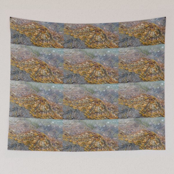Item preview, Colorful Waikiki Beachwall Coral designed and sold by Bill Spengler's Photographic Thoughts.