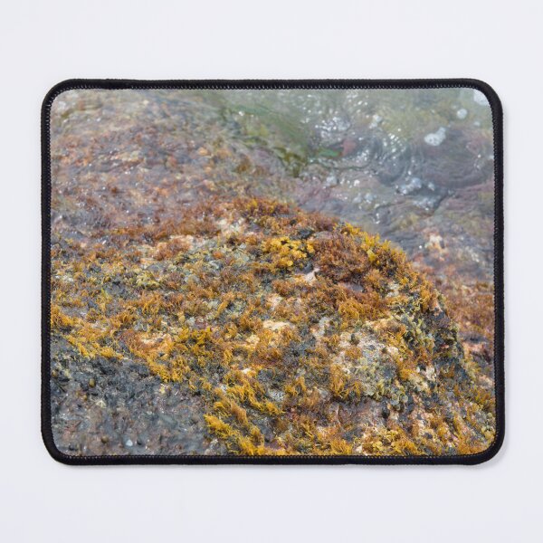 Item preview, Colorful Waikiki Beachwall Coral designed and sold by Bill Spengler's Photographic Thoughts.