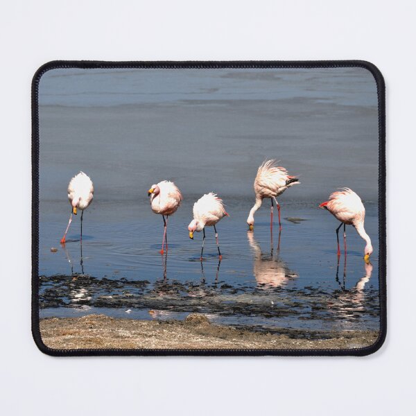 Item preview, Bolivia - Salar de Uyuni designed and sold by franck380.
