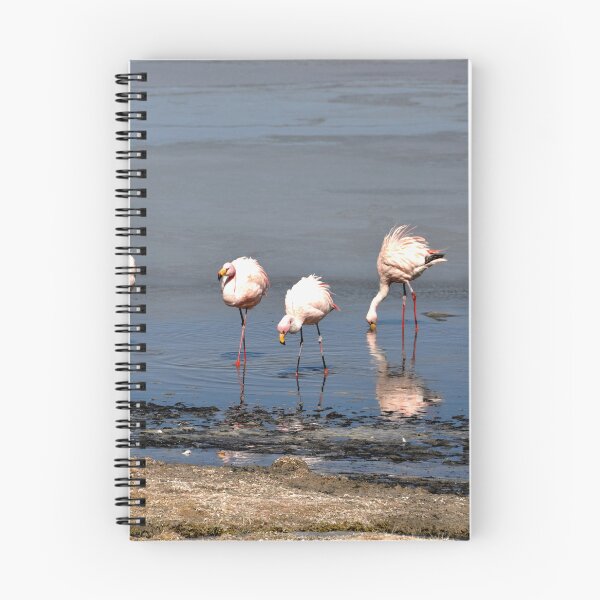 Item preview, Bolivia - Salar de Uyuni designed and sold by franck380.