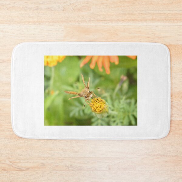 Item preview, Insect and Flower Close-Up, Garden, Bronx, New York designed and sold by lenspiro.