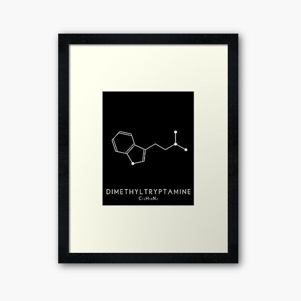 Artikel-Vorschau von Dimethyltryptamin / DMT Molekülstruktur in Schwarz, designt und verkauft von typelab.
