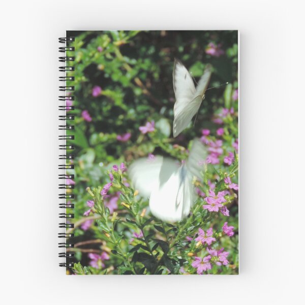 Aperçu de l'œuvre Papillons blancs dans la bruyère créée et vendue par Jmb67.