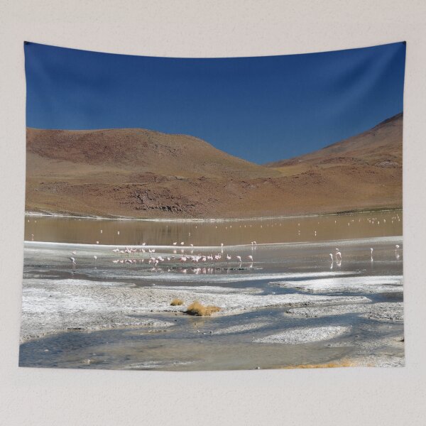 Item preview, Bolivia - Salar de Uyuni designed and sold by franck380.