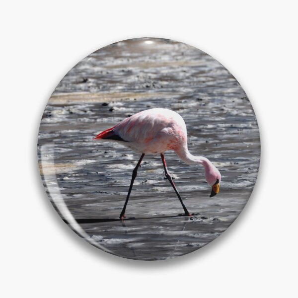 Item preview, Bolivia - Salar de Uyuni designed and sold by franck380.