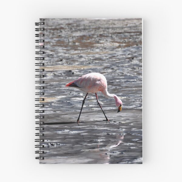 Item preview, Bolivia - Salar de Uyuni designed and sold by franck380.